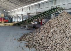 花生殼現場(chǎng)